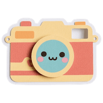 Camera icon